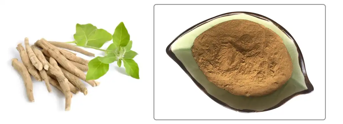 Ashwagandha Withanolide Offer.jpg